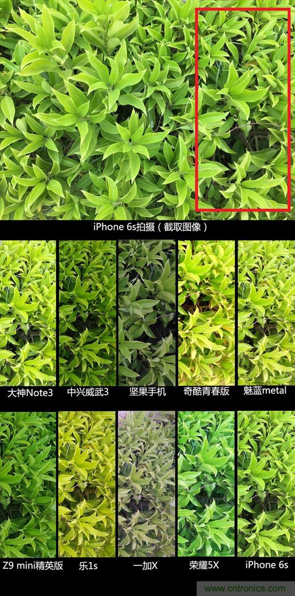 2015年9款千元智能手機橫評：誰才是紅海霸主？