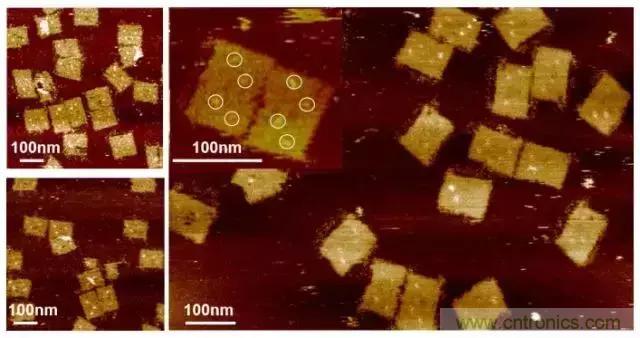 中美科學家聯(lián)手，用DNA納米機器人殺死癌細胞