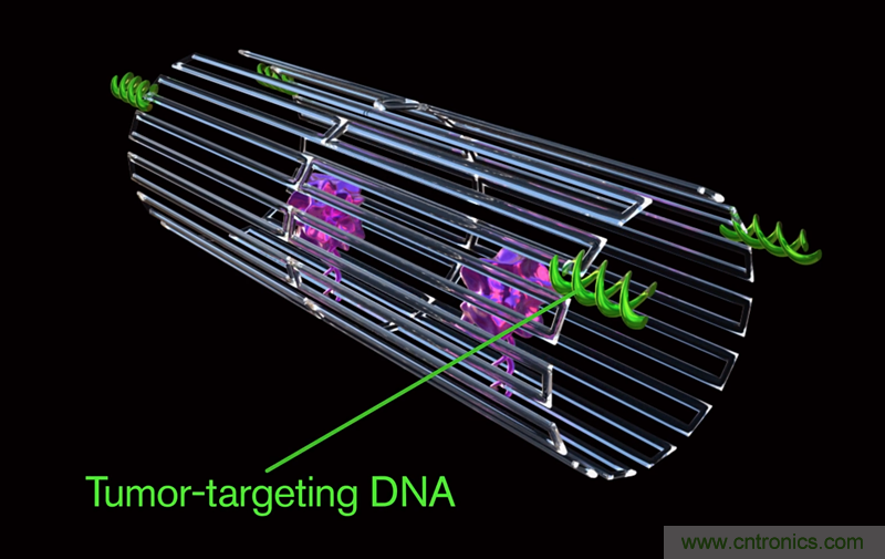 中美科學家聯(lián)手，用DNA納米機器人殺死癌細胞