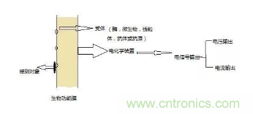 仿生傳感器的定義、原理、分類及應(yīng)用