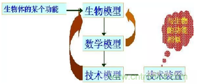 仿生傳感器的定義、原理、分類及應(yīng)用